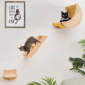 Wall Hammock Climbing Shelves